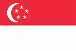 新加坡 战队徽标